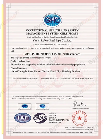 Lubao Steel Pipe — Occupational health and safety management certificate — English