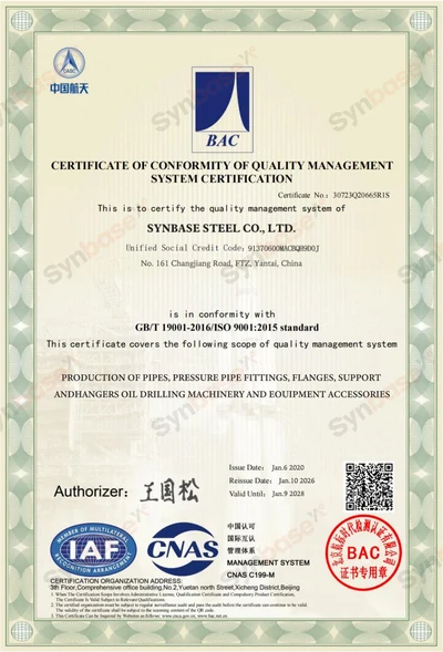 Synbase ISO 9001 quality management certificate